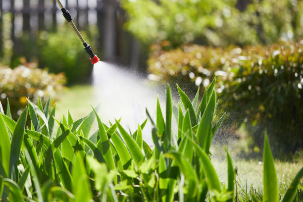 Tamper-Resistant Bait Stations for Rodents in Lincoln University