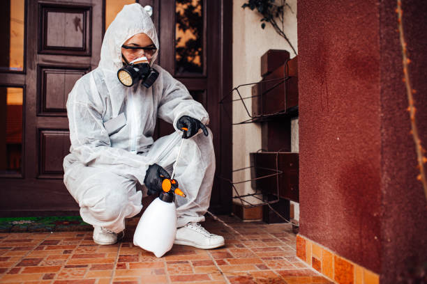 Attic and Crawl Space Rodent Treatment in Lincoln University
