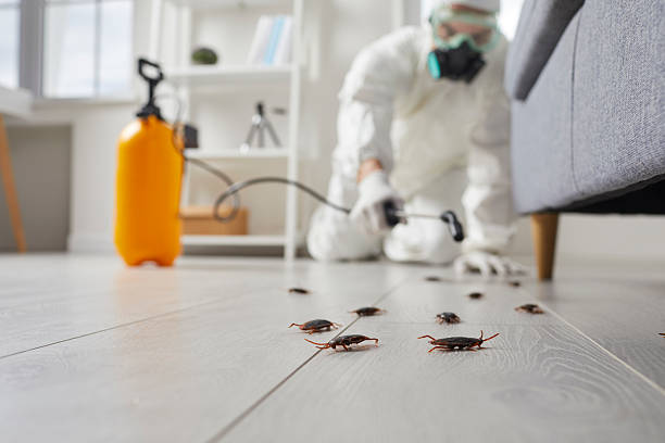 Commercial Rodent Management in Lincoln University